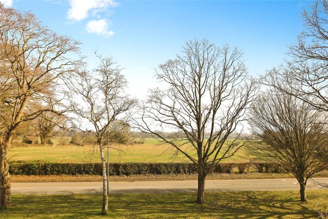 119, Higham Lane, Kent photo 3