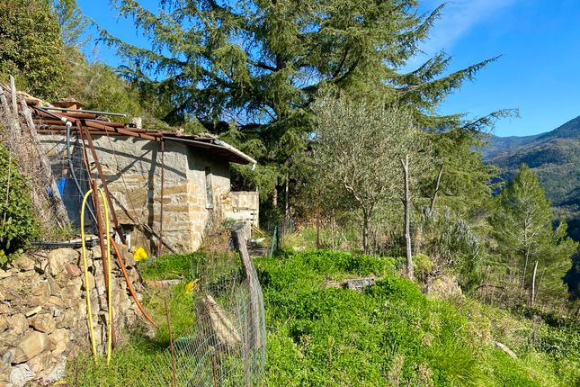 Land for sale in Ap 778, Regione Richelmo, Apricale, Imperia, Liguria, Italy