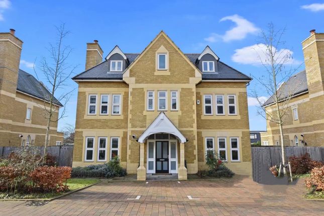 Thumbnail Detached house to rent in Havanna Drive, London