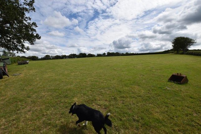 Land for sale in Pontwelly, Llandysul