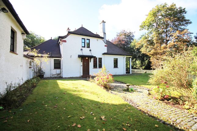 East Dunbartonshire photo 2