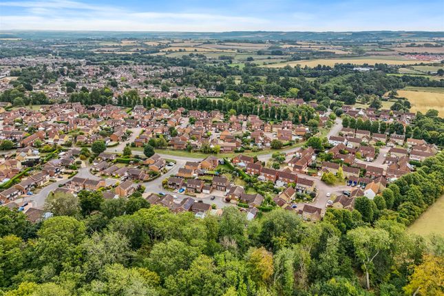 11Pevenseygrweb20.Jpg
