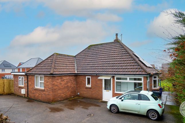38 Pinn Hill, Exeter photo 3