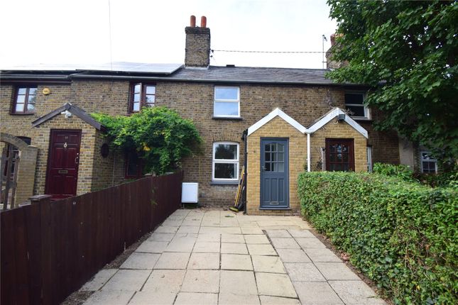Thumbnail Terraced house to rent in Braintree Road, Witham