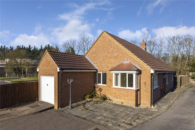 Thumbnail Bungalow to rent in Pantile Close, Witham, Braintree, Essex