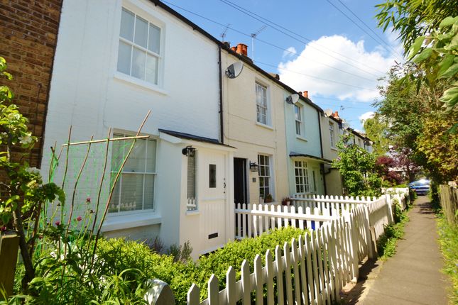 Thumbnail Cottage to rent in Howard Street, Thames Ditton