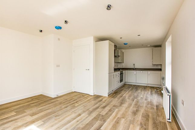Kitchen/Dining/Living Room