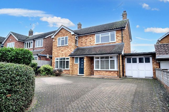 Thumbnail Detached house for sale in Gordon Road, Chelmsford