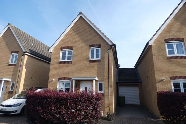 Detached house to rent in Resolution Road, Exeter