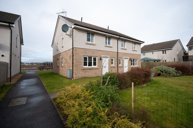 Thumbnail Semi-detached house to rent in Sheriff Stein Place, Arbroath, Angus