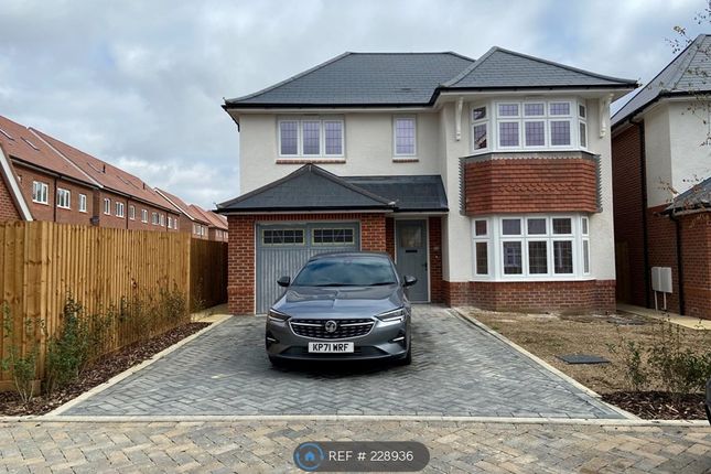 Thumbnail Detached house to rent in Armstrong Road, Luton