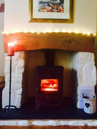 Log Burner Y Cwm.Jpg