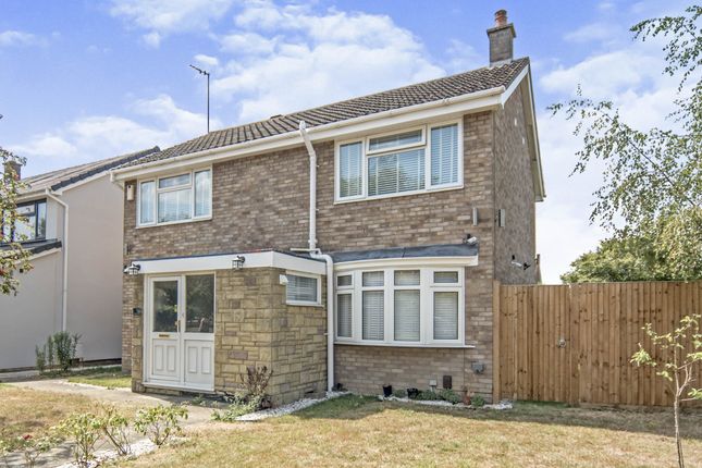 Thumbnail Detached house to rent in Thurlestone Close, Bedford