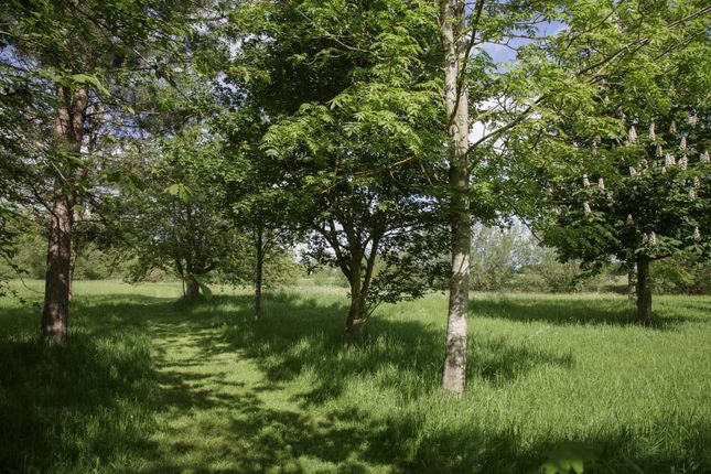 Upper_Grange_Newington_082.Jpg