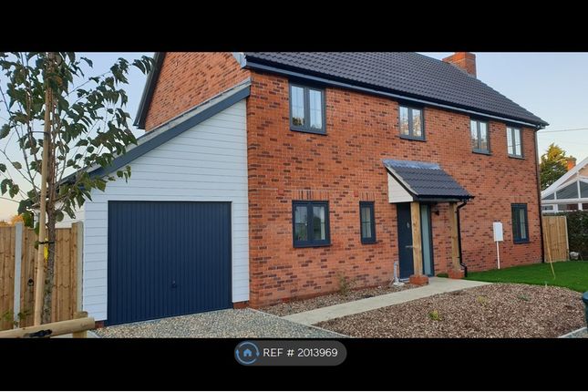 Thumbnail Detached house to rent in Mill Road, Woodbridge