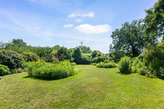 Pimpernel Cottage, Old Hills, Callow End photo 4