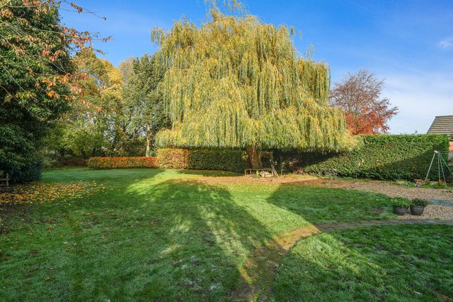 15, Park Lane, Doncaster photo 3