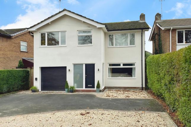 User_Edited_Photo-591Edb7E_User-Edited-Aa5F3d33-5E