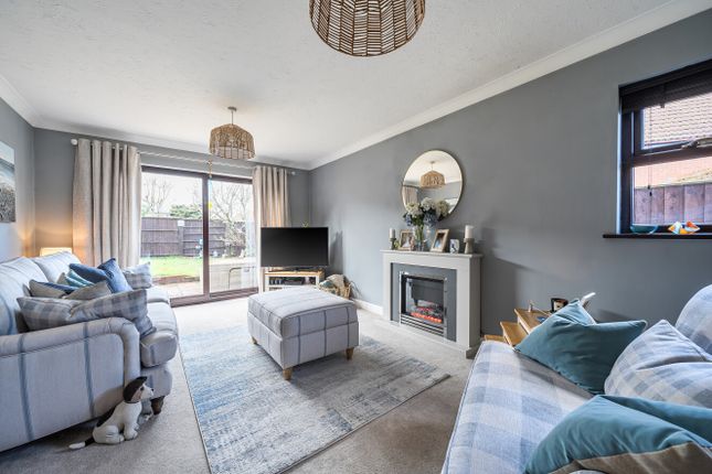 14, Spicer Way, Chard photo 4