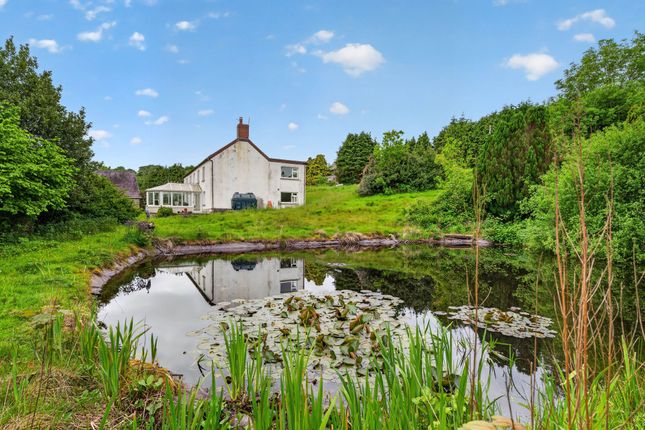 Blaenythan, Llandysul photo 4
