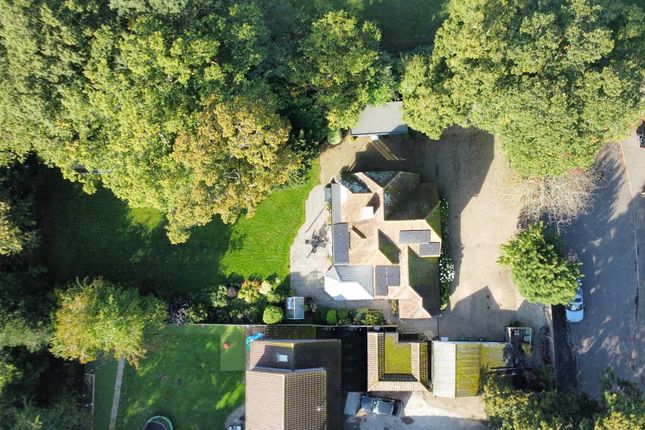 Drone Elevated Plot 1.Jpg
