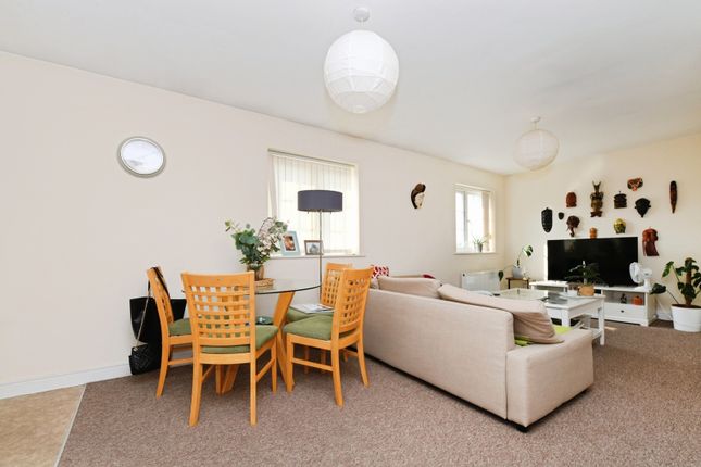 17, Braintree photo 2