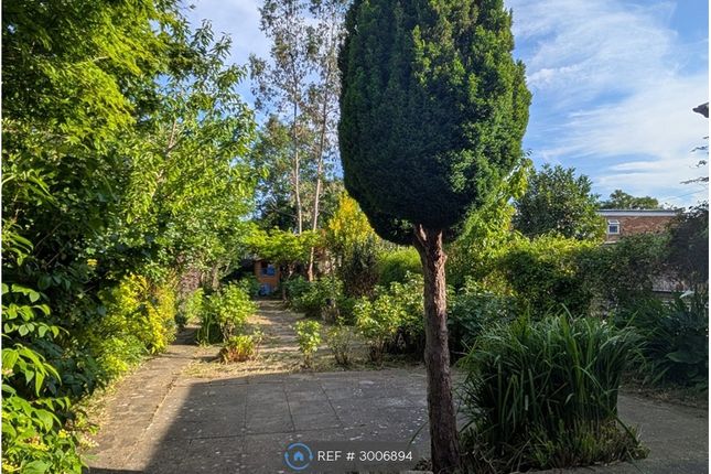 The Meadow Way, Harrow photo 4