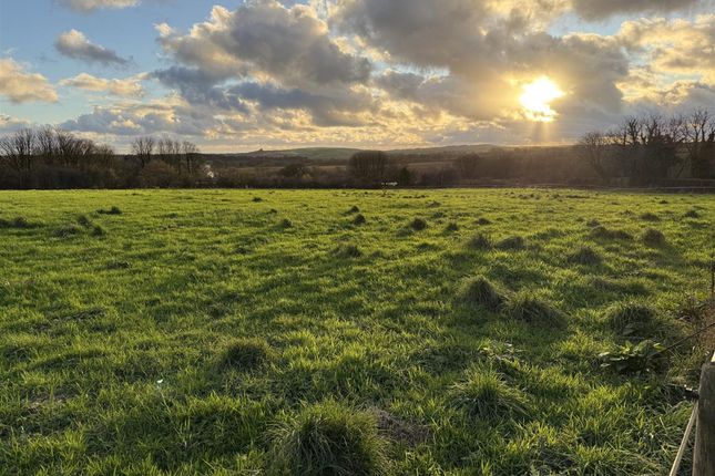 4.84 Acres of Pasture Land and Scrubland, at New Holmus, Haverfordwest photo 3