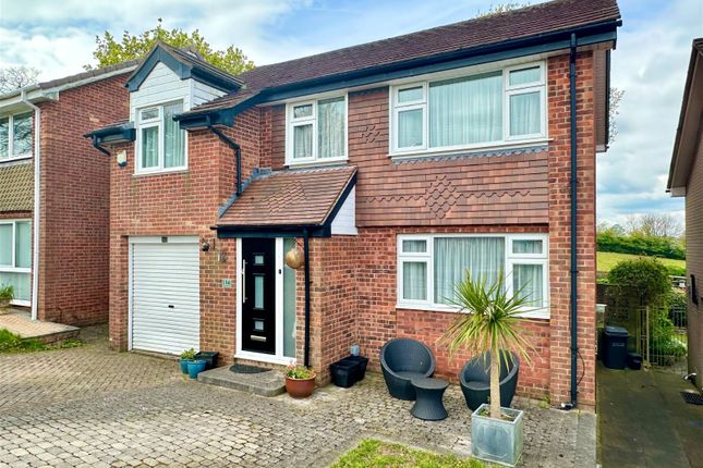 Thumbnail Detached house for sale in Green Park Road, Preston, Paignton