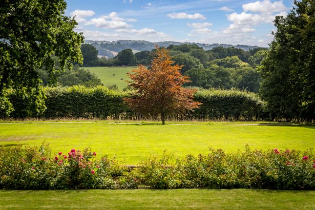 Joldwynds, Sandhurst, Cranbrook photo 2