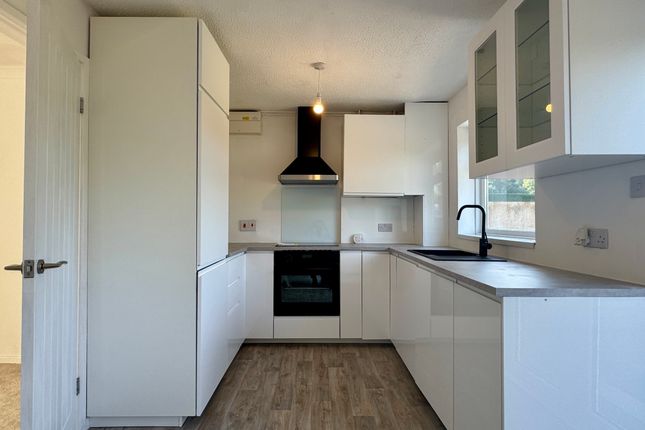 52, Carmarthen photo 3