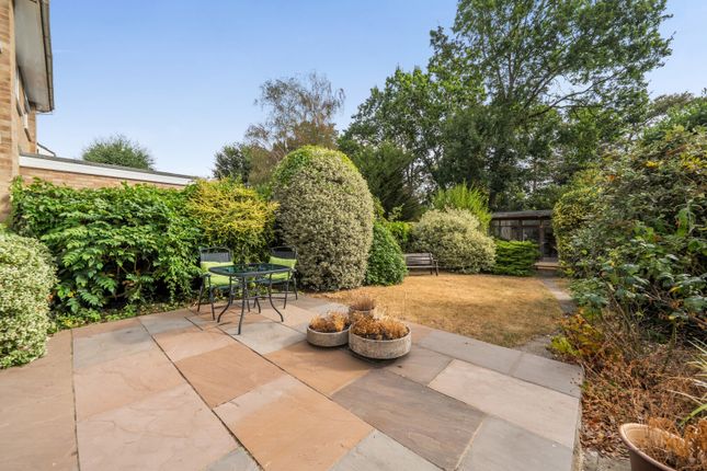 7, Fox Covert, Lightwater photo 4