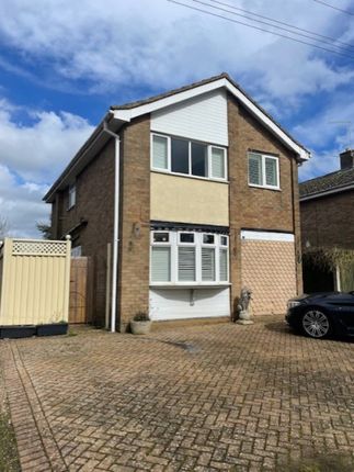 Detached house to rent in Home Close, Staverton