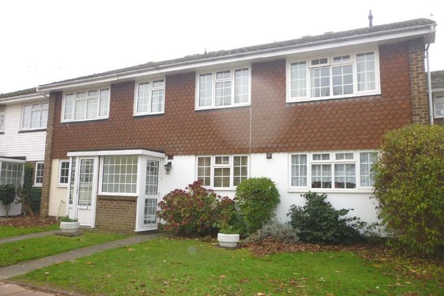 Thumbnail Property to rent in Victoria Park Gardens, Worthing