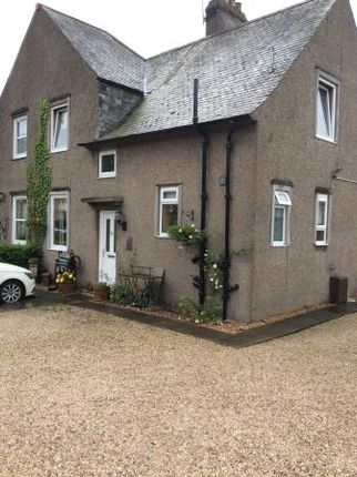 Thumbnail Semi-detached house to rent in Wallace Gardens, Stirling