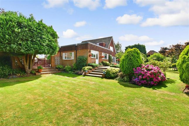 Thumbnail Detached house for sale in Amsbury Road, Coxheath, Maidstone, Kent