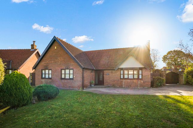 Detached bungalow for sale in Bulls Green Lane, Toft Monks, Beccles