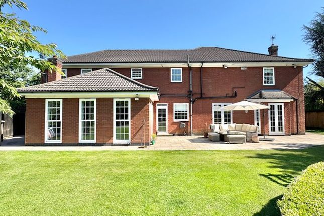 Rear Elevation