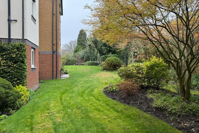33, Camberley photo 2