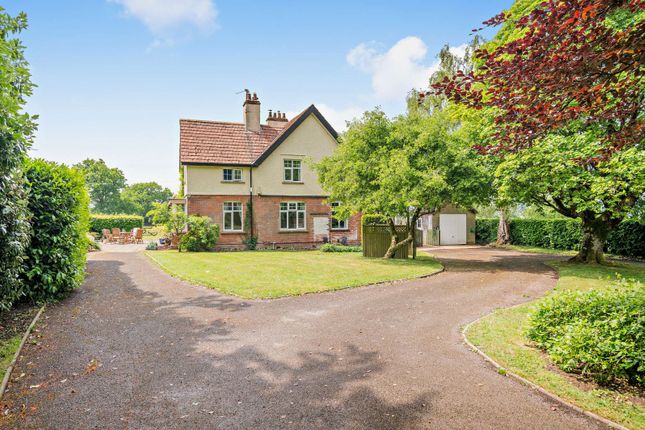 Fosseway House,, Winsham, Somerset photo 4
