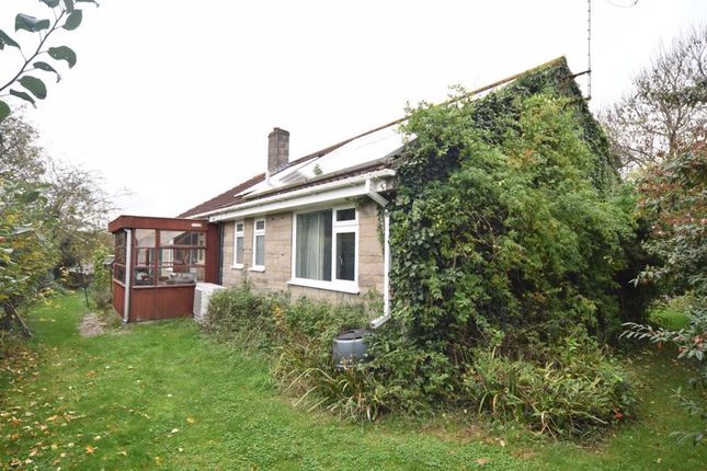Bungalow for sale in Crouds Lane, Long Sutton, Langport