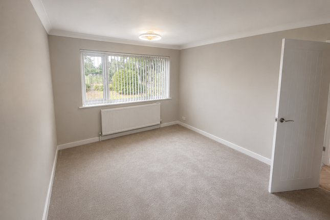 37, Stoke-on-Trent photo 5