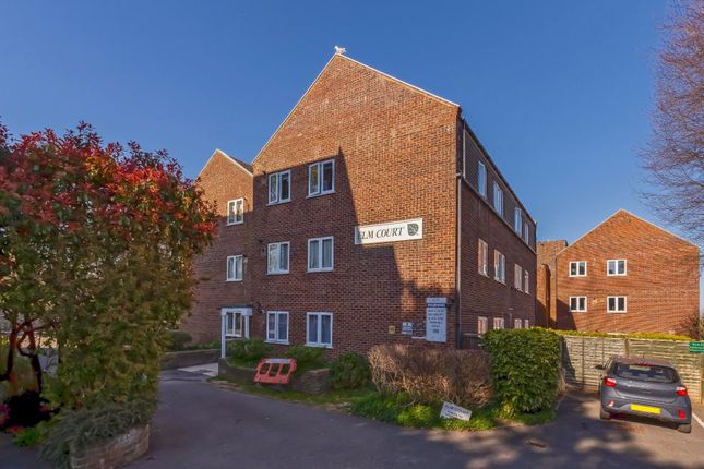 Elm Court_12.Jpg