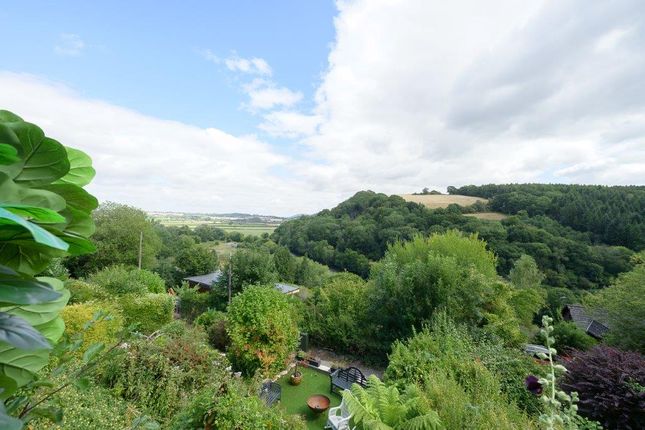 The Cover, Ross-on-Wye photo 4