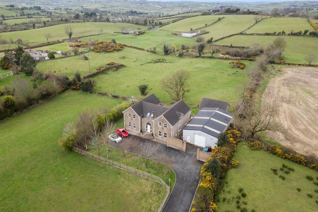 Thumbnail Detached house for sale in Begny Road, Dromara, Dromore