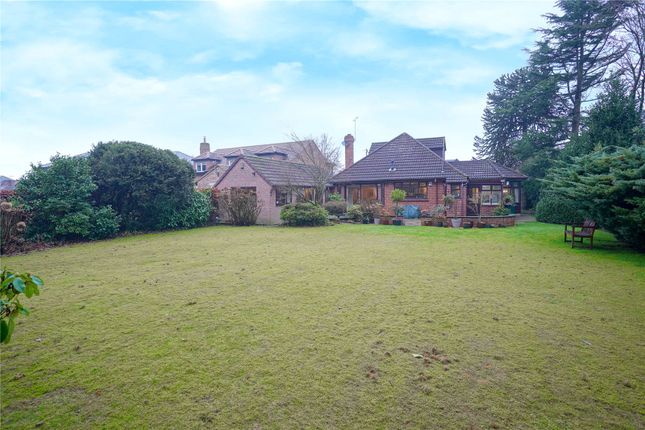 44, Wood Lane, Rotherham photo 4