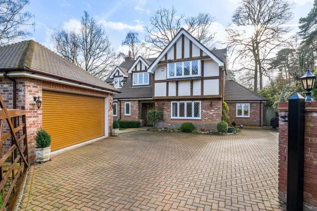 Thumbnail Detached house to rent in The Spinney, Sunningdale, Ascot