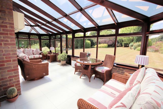 View Of Conservatory