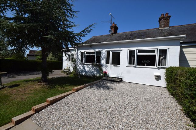 Thumbnail Bungalow for sale in Main Road, Rettendon Common, Chelmsford, Essex