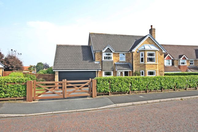 Thumbnail Detached house for sale in Stonehill Close, Appleton